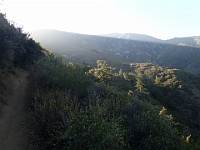 2013 Trabuco Canyon CA 100